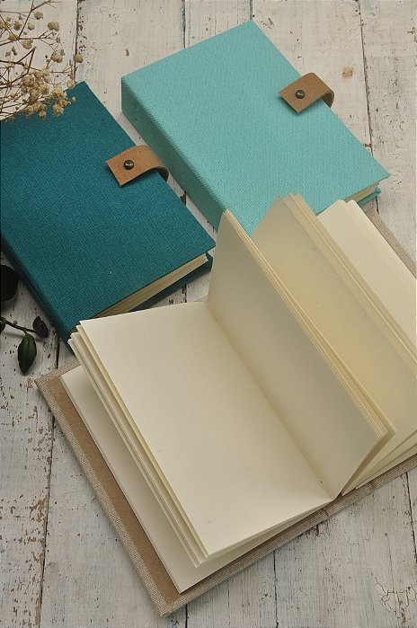 MOLESKINE