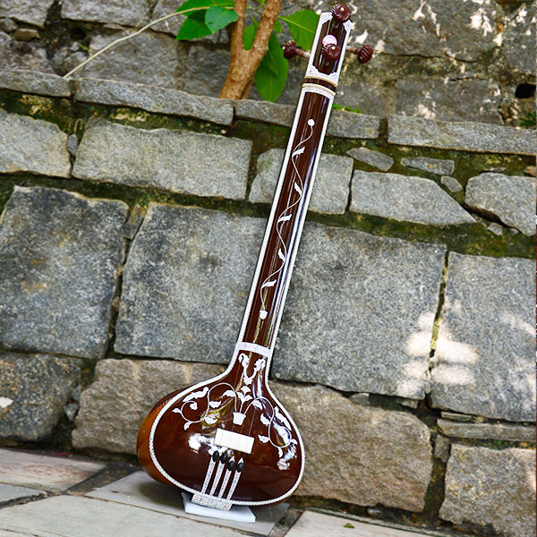 Tampura Masculina Naeem