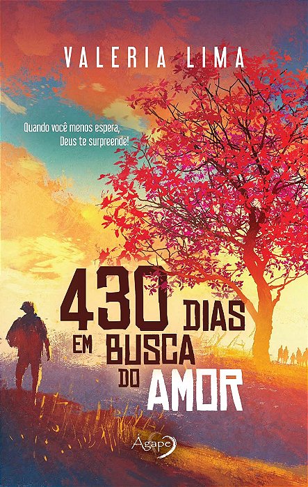 430 Dias Em Busca Do Amor