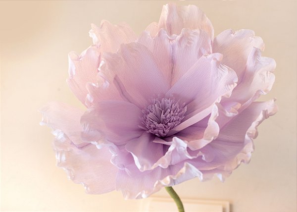 Flor de Serenata em Papel Crepom Italiano