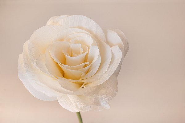 Botão de Rosa em Papel Crepom Italiano