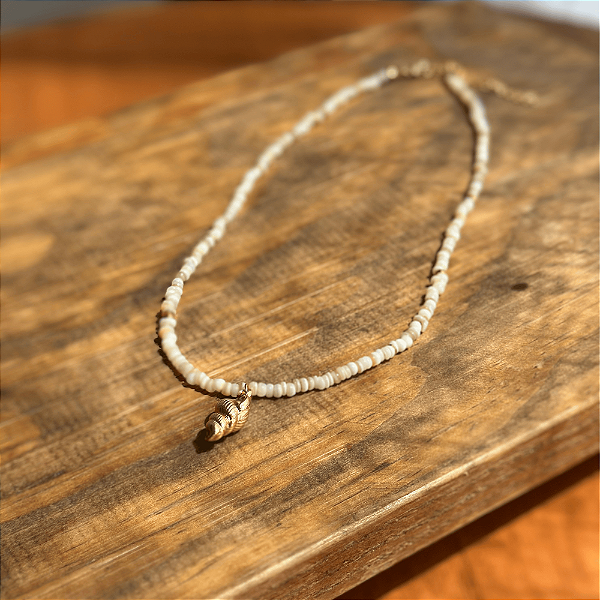 Colar Mudrē Conchella