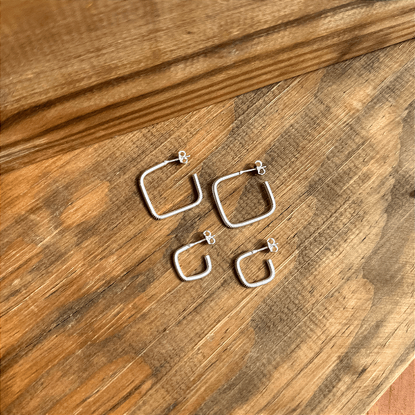 Dupla de Brincos Twin