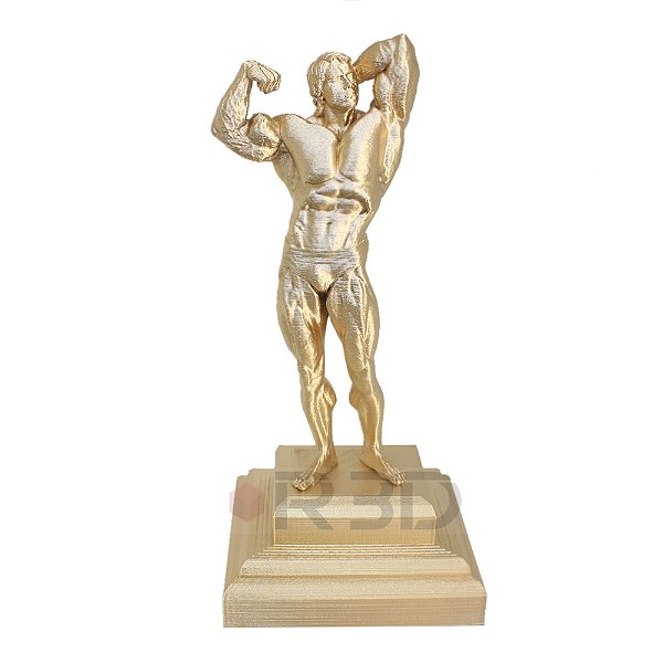 Troféu Fisiculturismo Arnold 25 Cm
