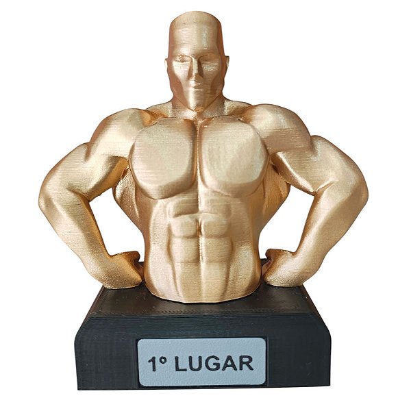 TROFEU FISICULTURISTA - 14 PCS