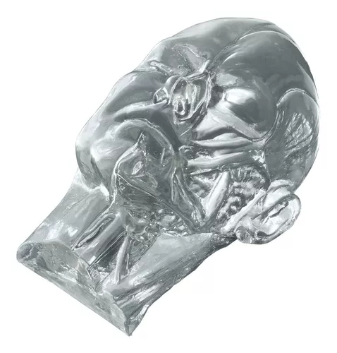 Face Realista Para Pratica De Harmonizacao Facial (Translucida) 30x20