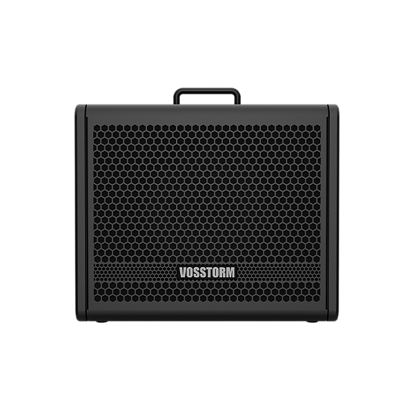 Amplificador Para Guitarra 10 Pol 40w Gx-10 Vosstorm