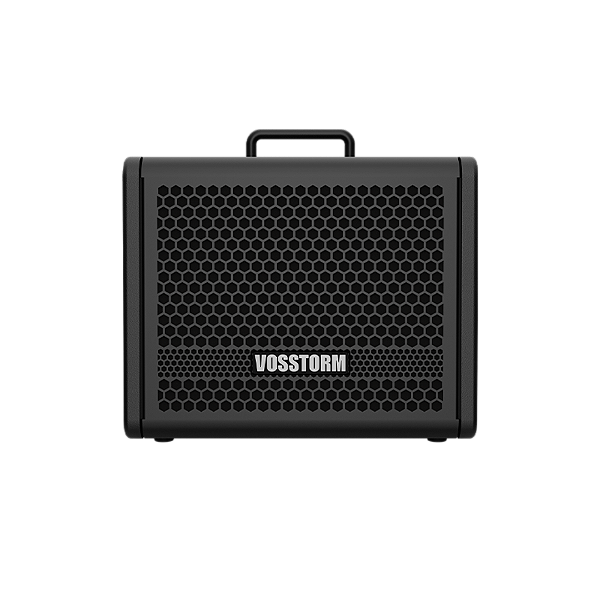 Amplificador Para Guitarra 8 Pol 25w Gx-8 Vosstorm