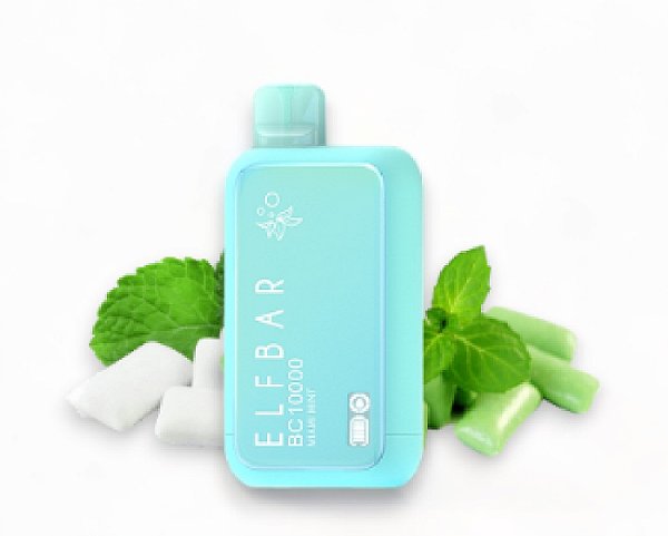 Elfbar Bc 10000 Puffs Miami Mint