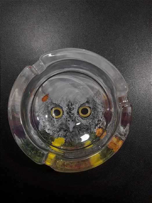 Cinzeiro de Vidro Pequeno Coruja