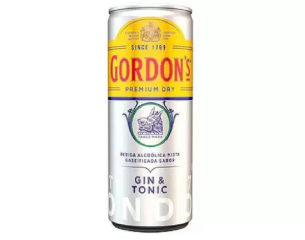 Gordons e Tonica 269ml