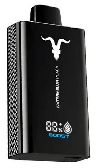 Ignite 12000 Puffs Watermelon Peach