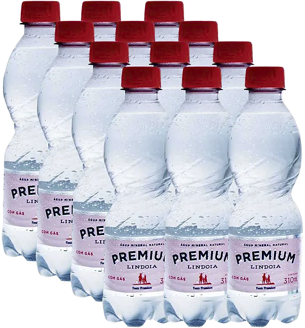 Kit 12 Água Mineral Com Gas Premium 510ml Lindoia