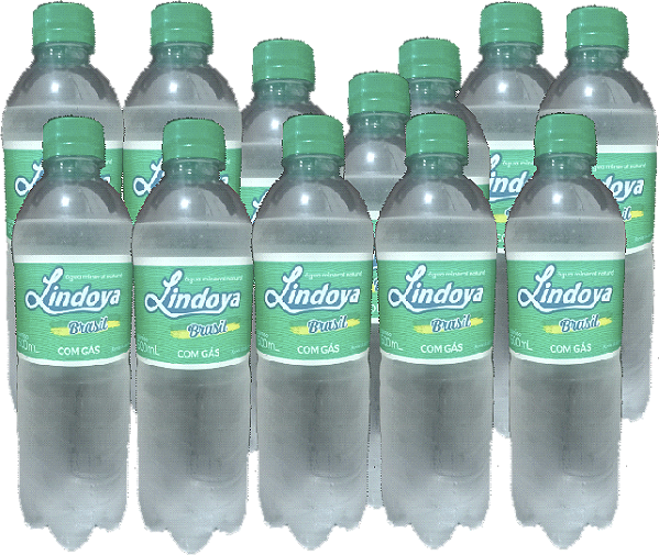 Kit 12 Água Mineral Com Gas 500ml Lindoya Brasil