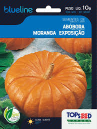 S Abobora Moranga Exposicao - Topseed