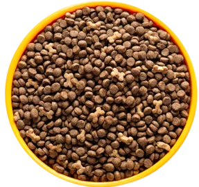 Magnus Premium Filhote Todo Dia Por Kg - Granel