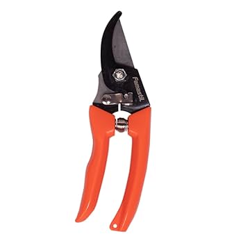 Tesoura Poda Flores 6,5  Famastil