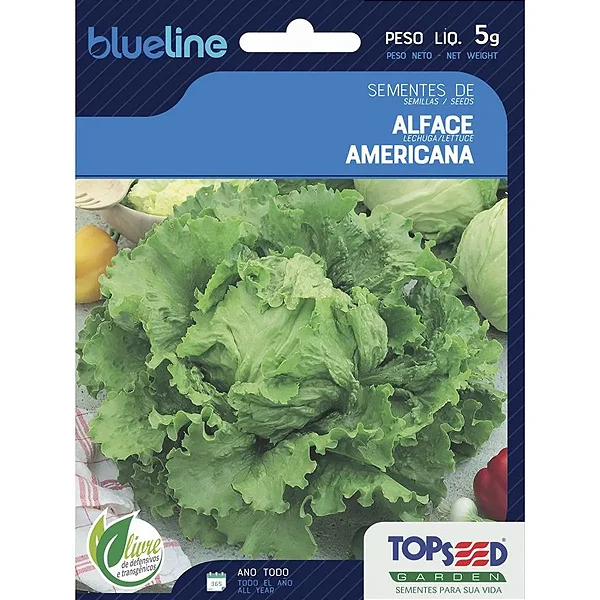 S Alface Americana 5g - Topseed