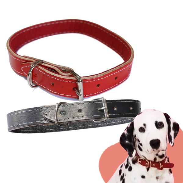Coleira Forrada Couro N7 (60 X 2.5cm)