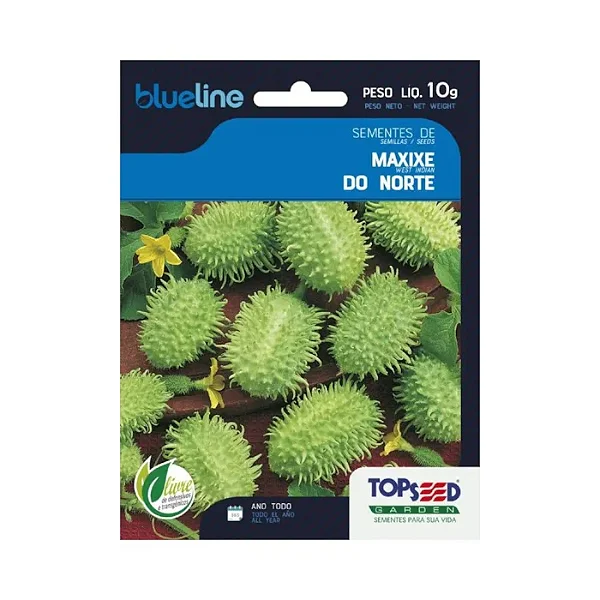 Semente Maxixe Do Norte 10g- Topseed