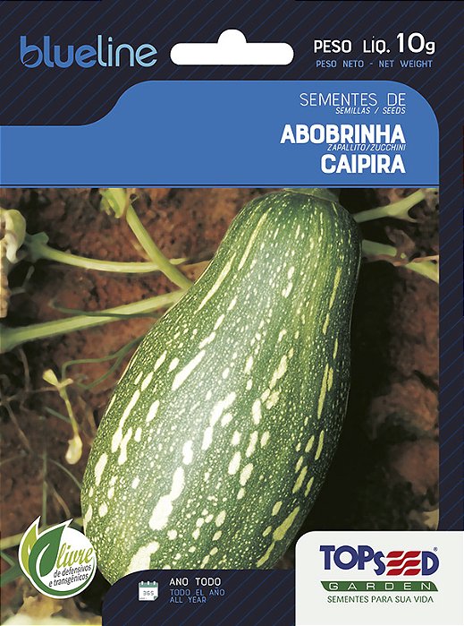 Semente Abobrinha Caipira 10g - Topseed