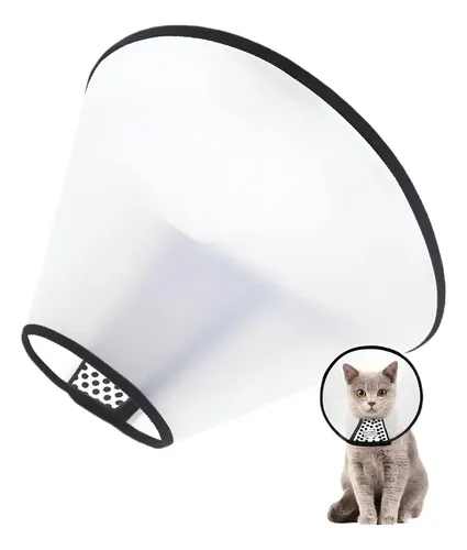 COLAR ELIZABETANO GATO P