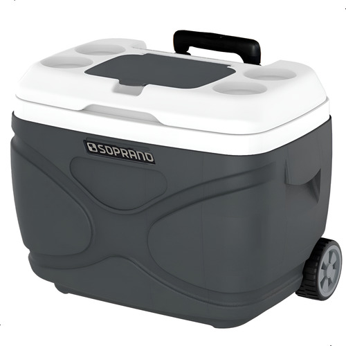 Caixa Térmica Cooler Grande 30 Litros Com Rodas E Alça Retrátil