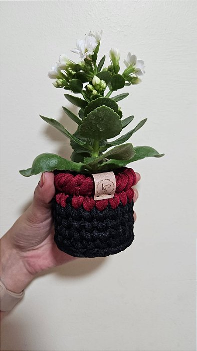 Cachepô Dayane para Suculenta