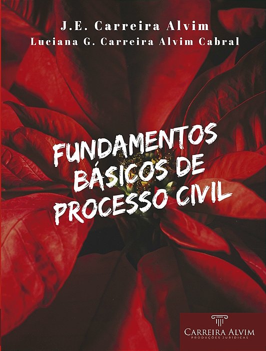 Fundamentos Básicos de Processo Civil