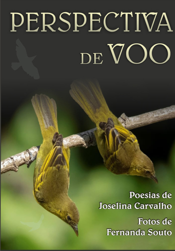 Perspectiva de voo