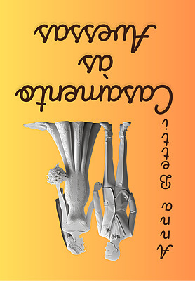 Casamento às Avessas