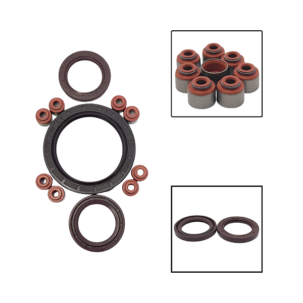 Kit Retentores Motor Towner Jr Effa Chana Completo