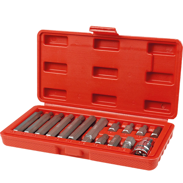 Jogo de Bits Allen 4-12mm Encaixe 10mm Com 15 Pecas - WORKER