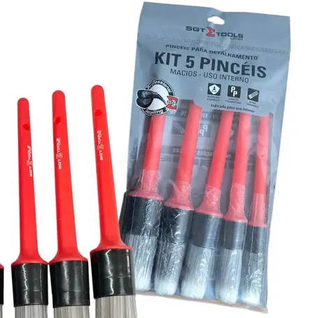 Kit 5 Pincéis interno SGT