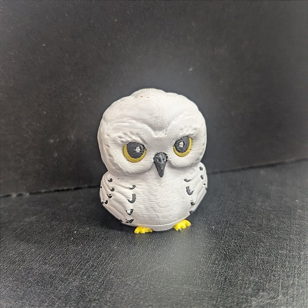 Coruja Hedwig Harry Potter