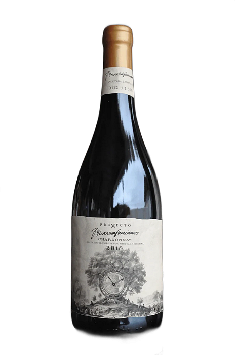 VINHO BRANCO ARGENTINO PROYECTO X MICROVINIFICACAO GRAN RESERVA CHARDONNAY 750ML