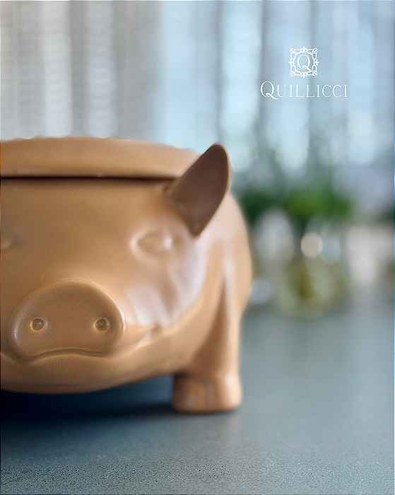 SOPEIRA FORMATO PORCO C/TAMPA