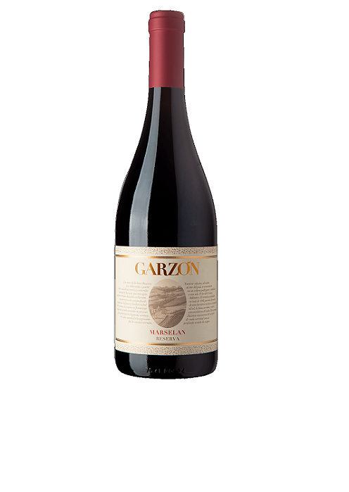 Vinho Tinto Garzón Reserva Marselan - 750ml