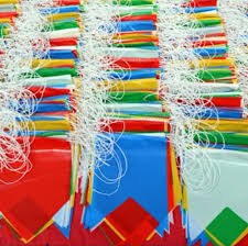 Bandeirolas São Pio - 13cm x 17cm - 7 Metros com 20 Bandeiras Coloridas