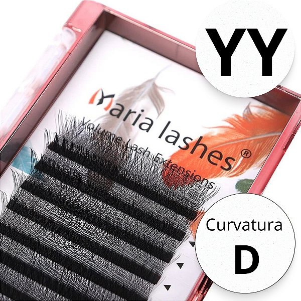 Maria Sasha YY - Curvatura D