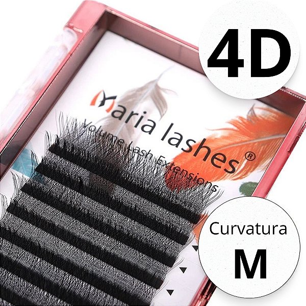 Maria Sasha 4D - Curvatura M