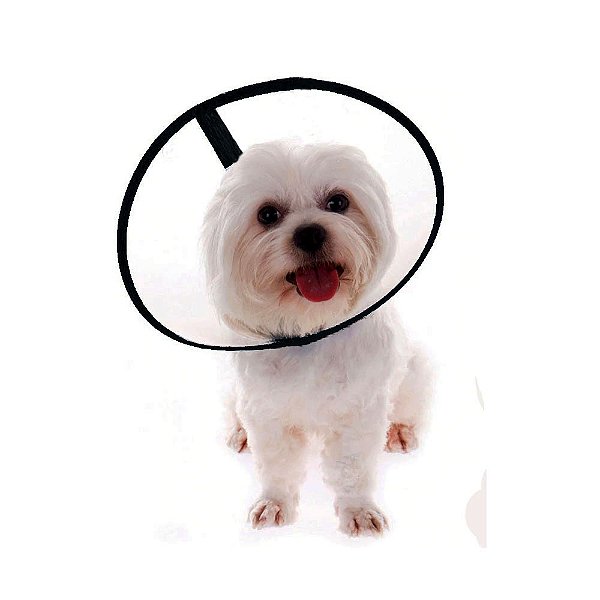 Colar Elizabetano Transparente Diversos