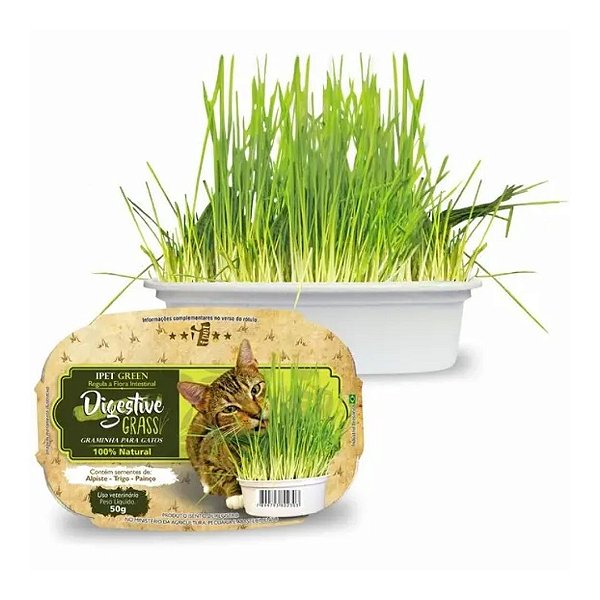 Graminha P/ Gatos - Digestive Grass - 50G