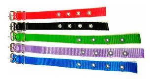 Coleira Nylon Seguranca Ponto De Ouro