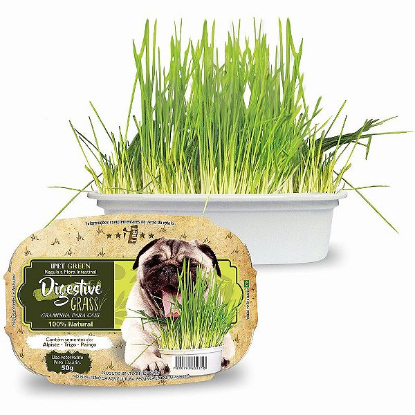 Graminha Cao Digestive 50 g