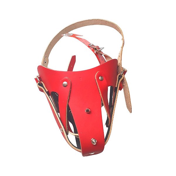 Focinheira Couro E Tacha Forrada N 6