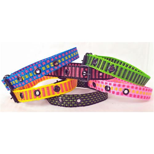 Coleira Nylon Porte M Nº 05 Ponto De Ouro