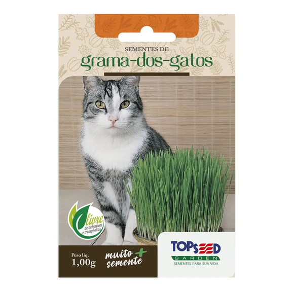 Sementes de Grama dos Gatos Tradicional Topseed Garden Único