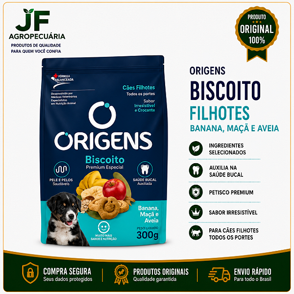 ORIGENS BISC FILH BANANA 300G