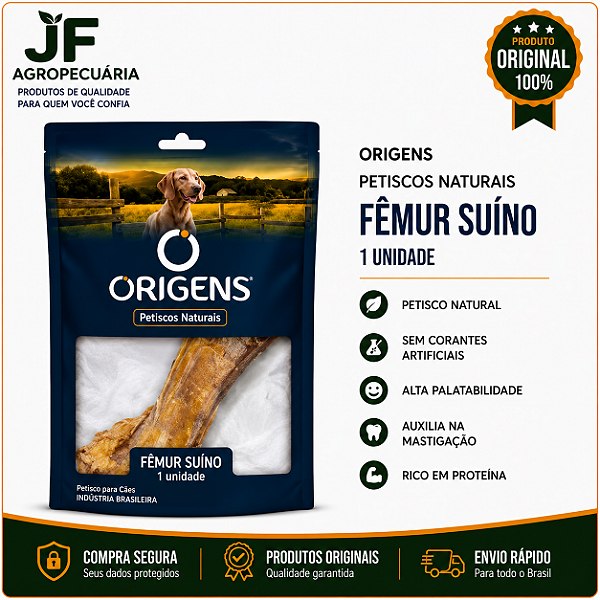 ORIGENS PN FEMUR SUINO 100G